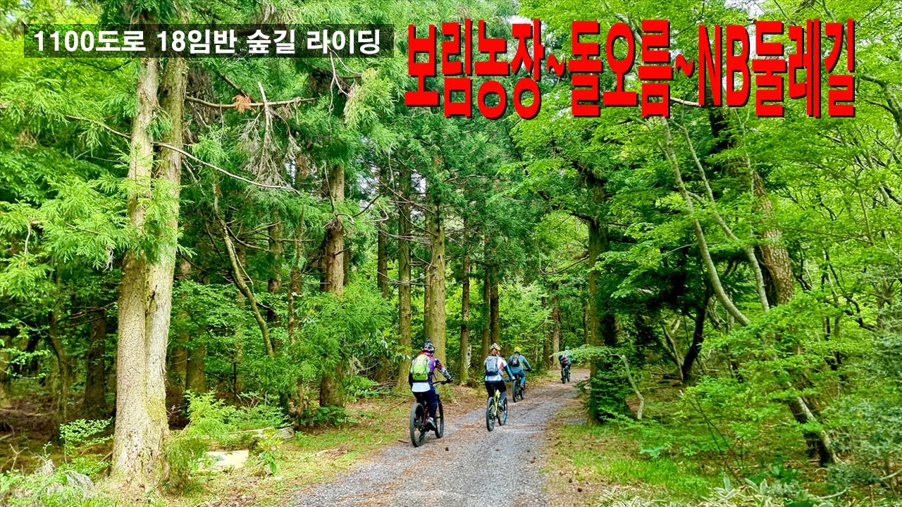 제주 1100휴게소 임도 라이딩2