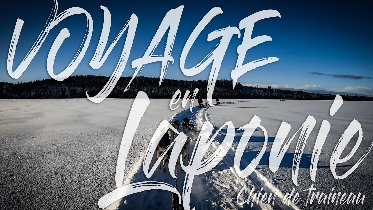 Voyage en Laponie suédoise chez des mushers 🐾🇸🇪