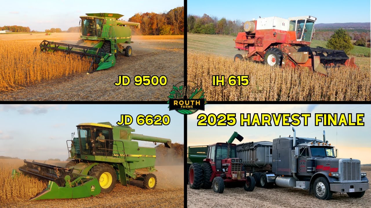 2025 Harvest Finale | Soybean Harvest with A JD 9500 JD 6620 and IH 615