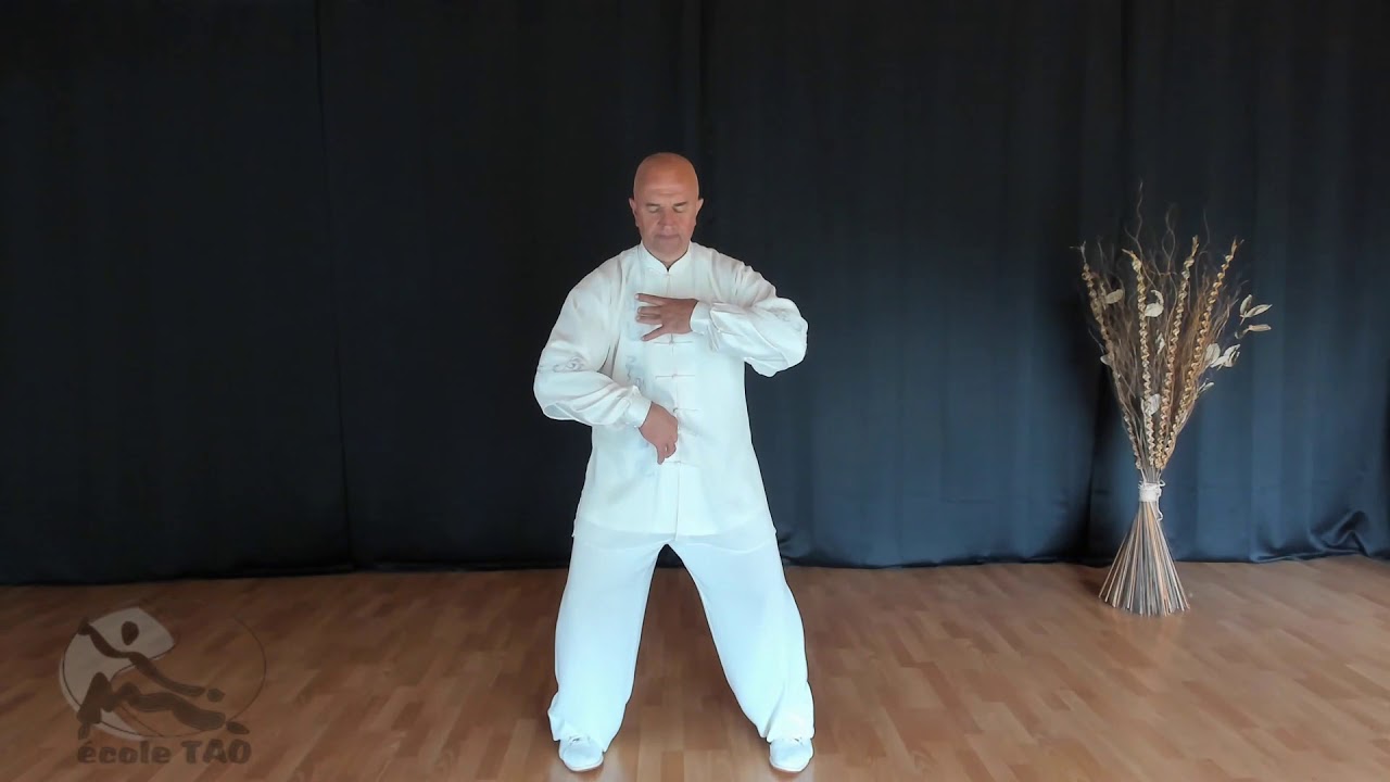 17 postures de l'école Tao - 1ère posture par Thierry Alibert 7ème Duan FFK