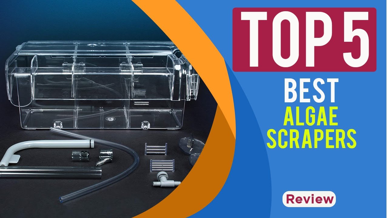 Top 5 Best Algae Scrapers Tested & Compared (2025 Review) | ALGAE SCRAPER