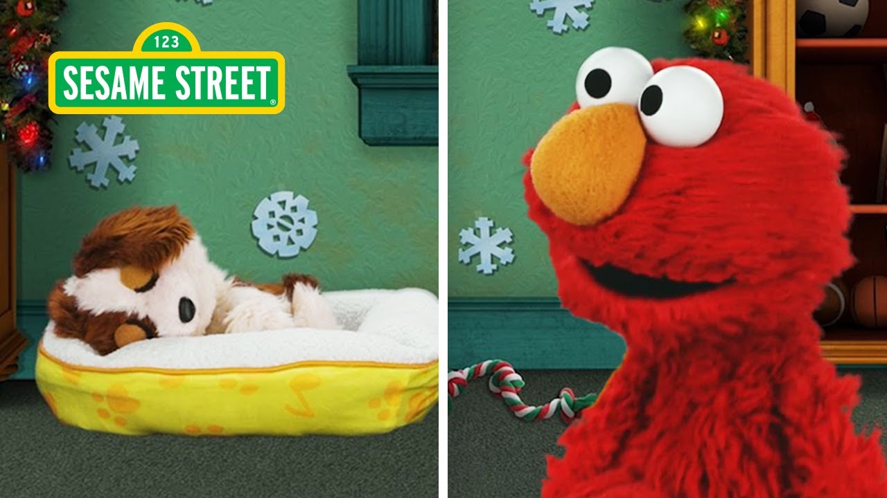 Elmo & Tango's Christmas Puppy Cam | Fun Sesame Street Holiday Songs!