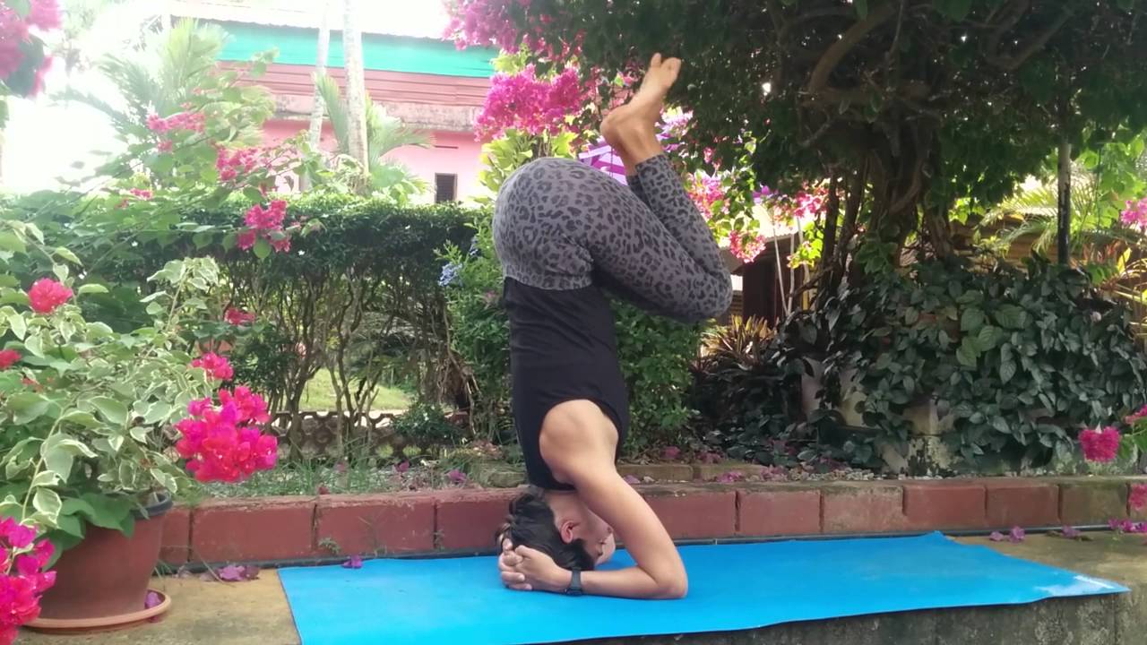 שלבים לעמידת  ראש - טל ספורטה יוגה