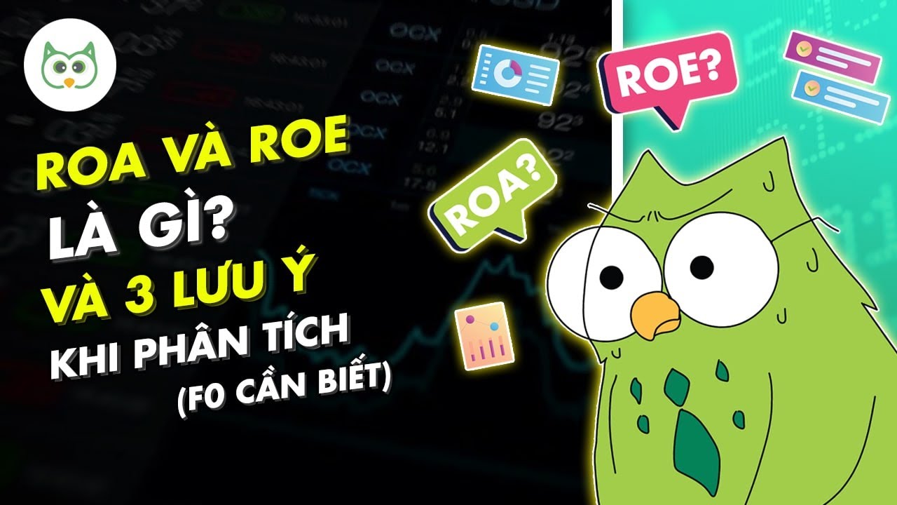 Chỉ Số ROE & ROA Là Gì? 3 Tiêu Chí Khi Phân Tích | Cú Thông Thái