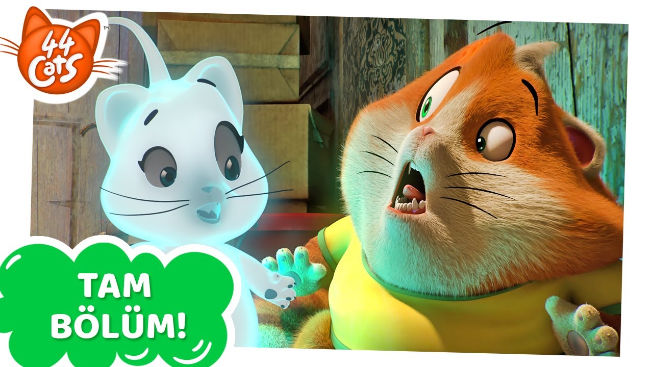 44 Kedi | TAM BÖLÜM | Hayalet Kedinin Gizemi | Sezon 2 Bölüm 5