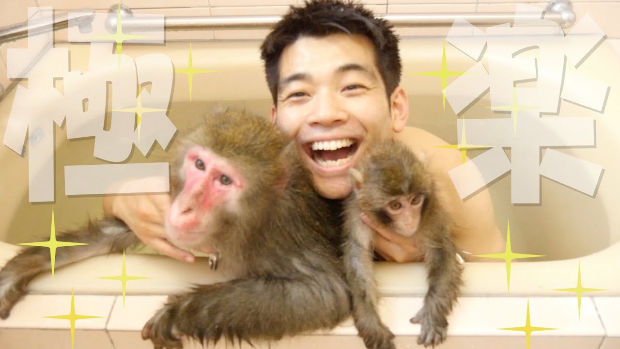 【ついに】お猿さんとお風呂に入る夢が叶いました…！！