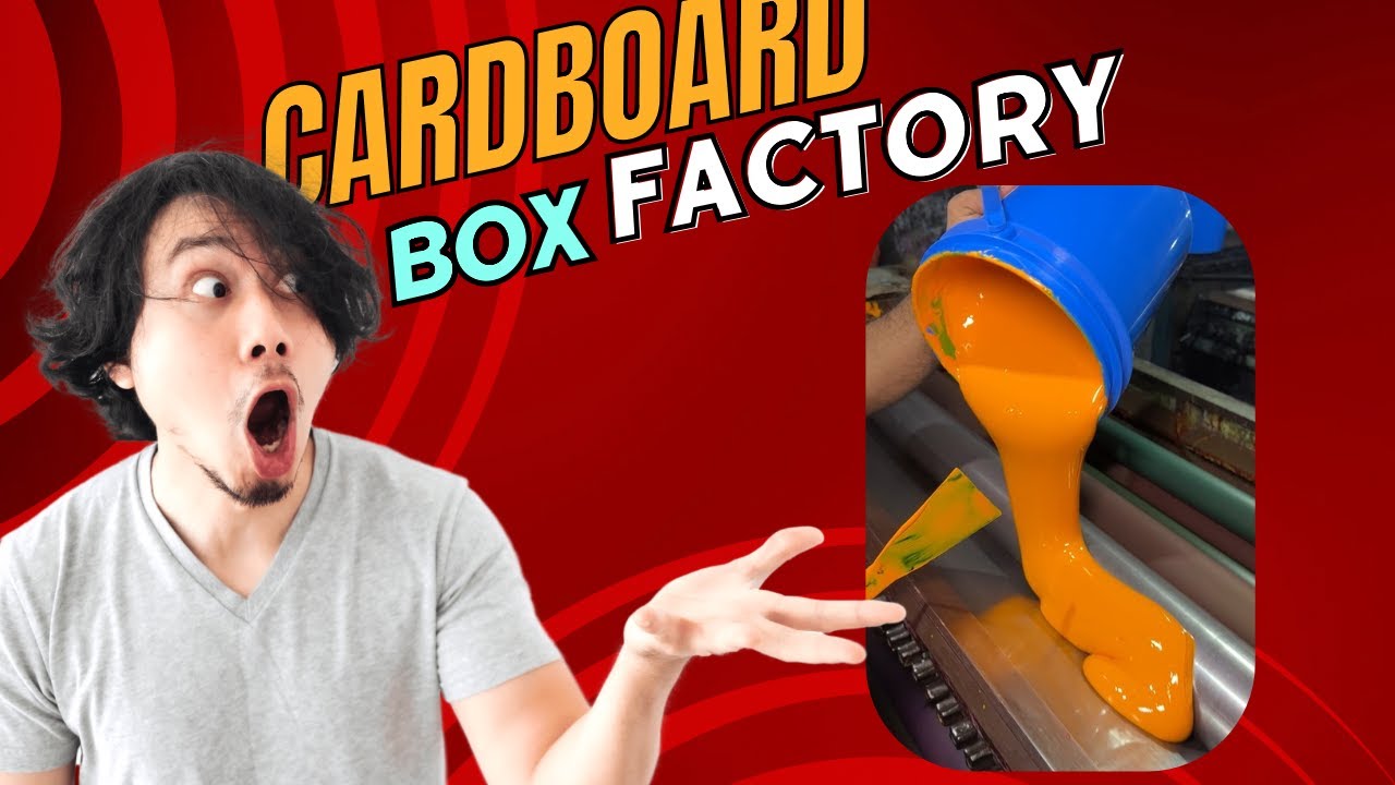 This is How Cardboard Box is Made in Factory