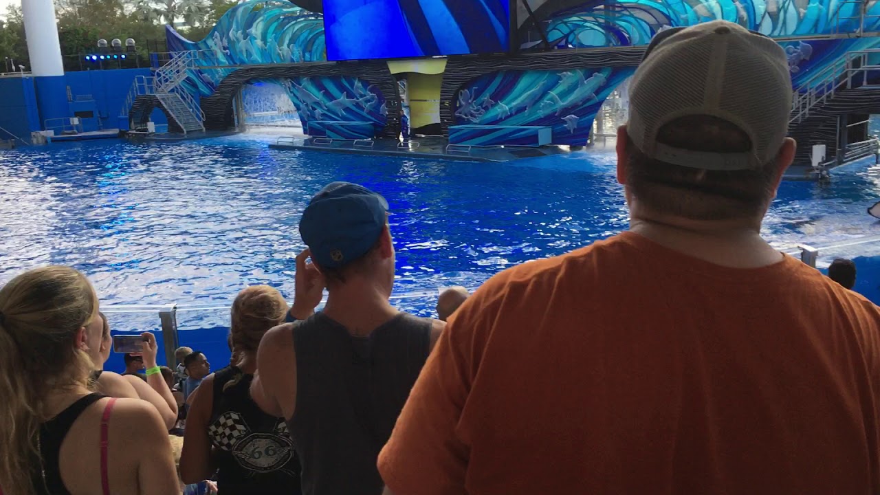 One Ocean at Seaworld Orlando Florida