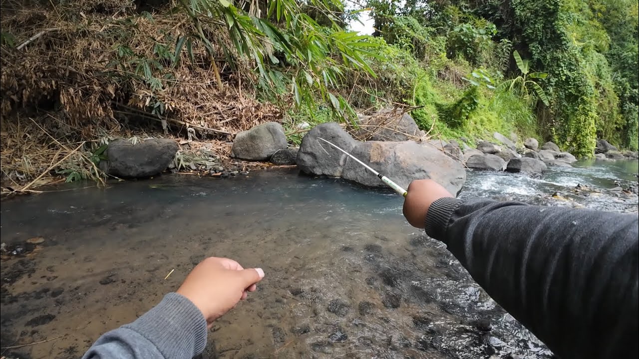 Narget uceng di serang ikan ini‼️ Mancing siang di kali opak‼️