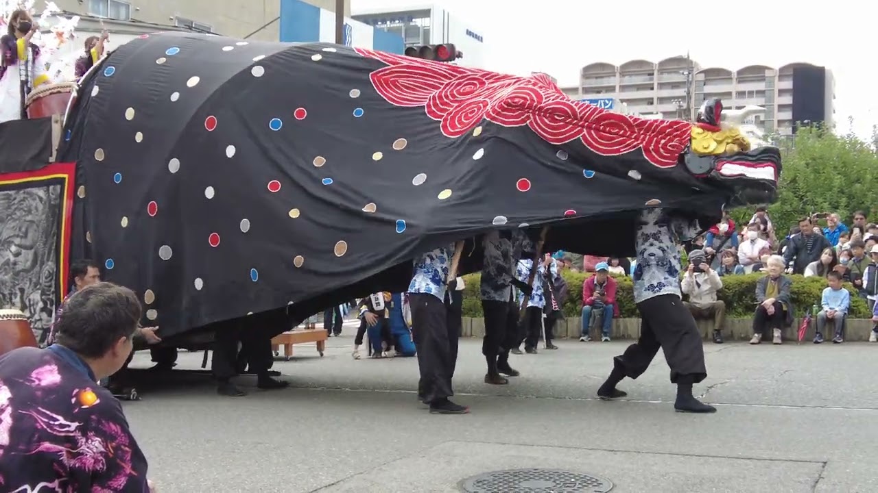 阿智黒丑舞 2023年 南信州 獅子舞フェスティバル 令和5年 lion dance