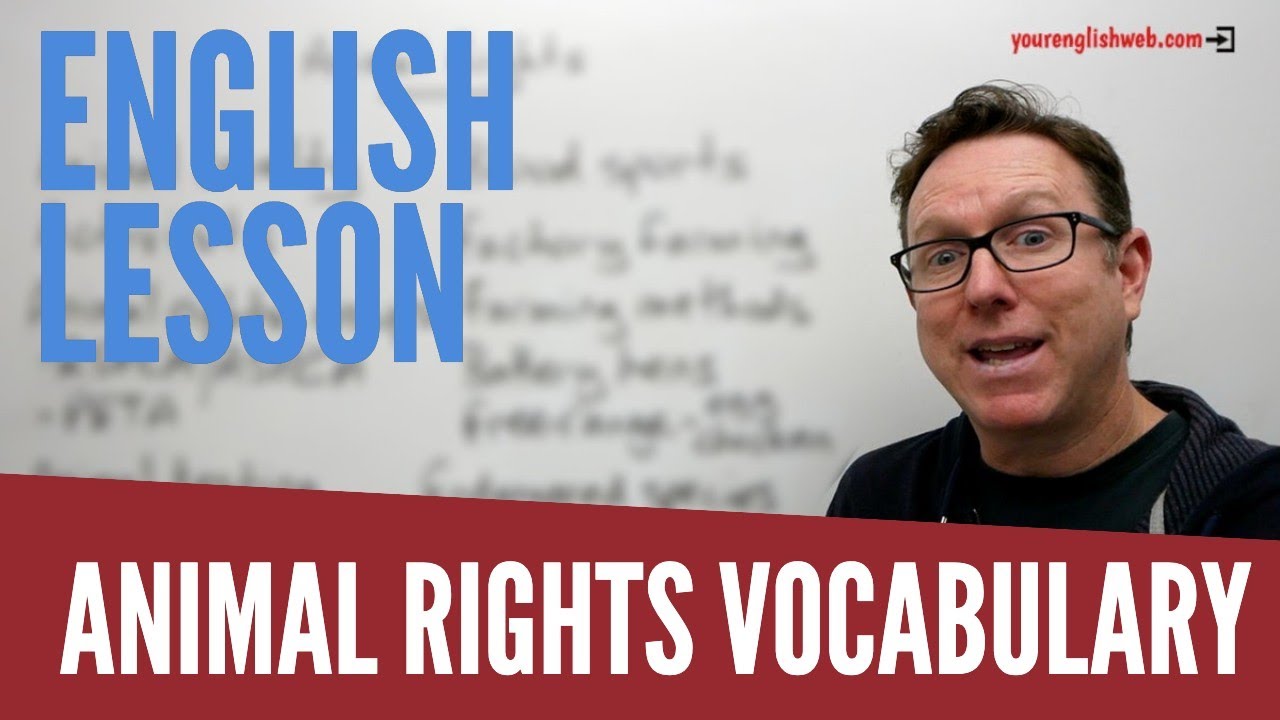 Animal Rights Vocabulary Made Easy!
