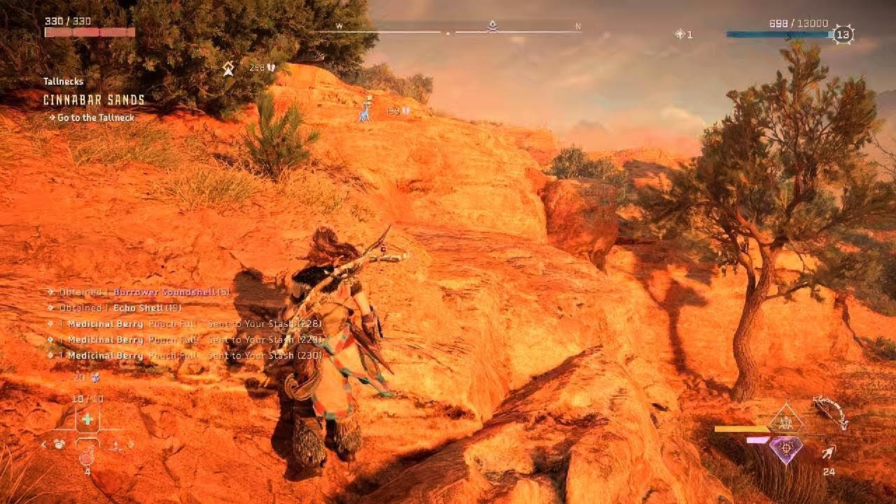 Horizon Forbidden Neck