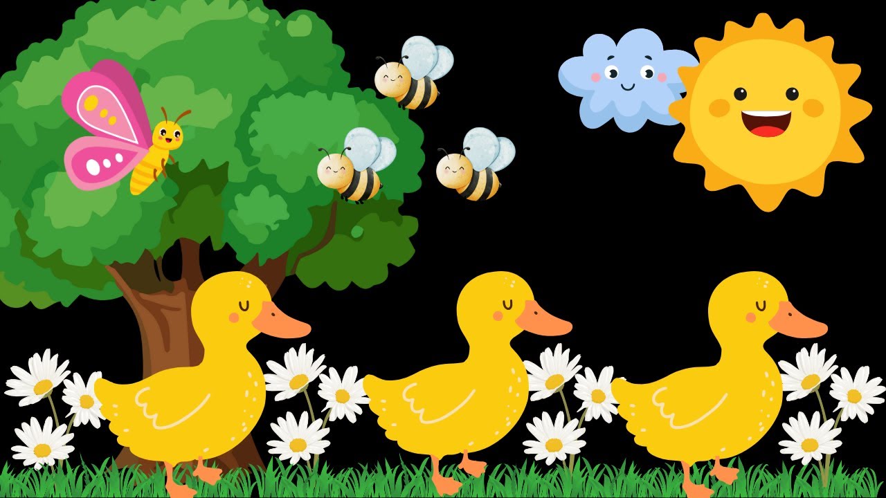 Ducks & Daisies Baby Sensory Video with High Contrast for relaxation and early learning