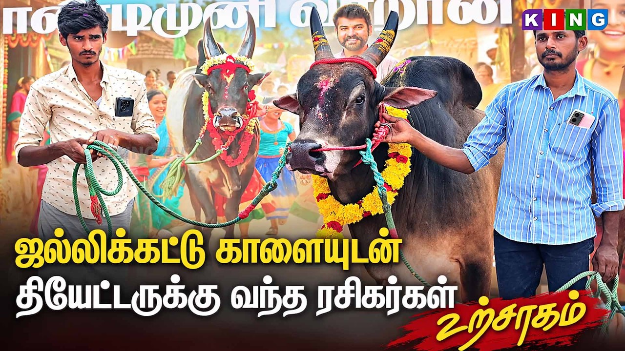 Jallikattu காளையுடன் தியேட்டருக்கு வந்த ரசிகர்கள் 🔥 Theatre முழுக்க உற்சாகம் | #King TV Coimbatore