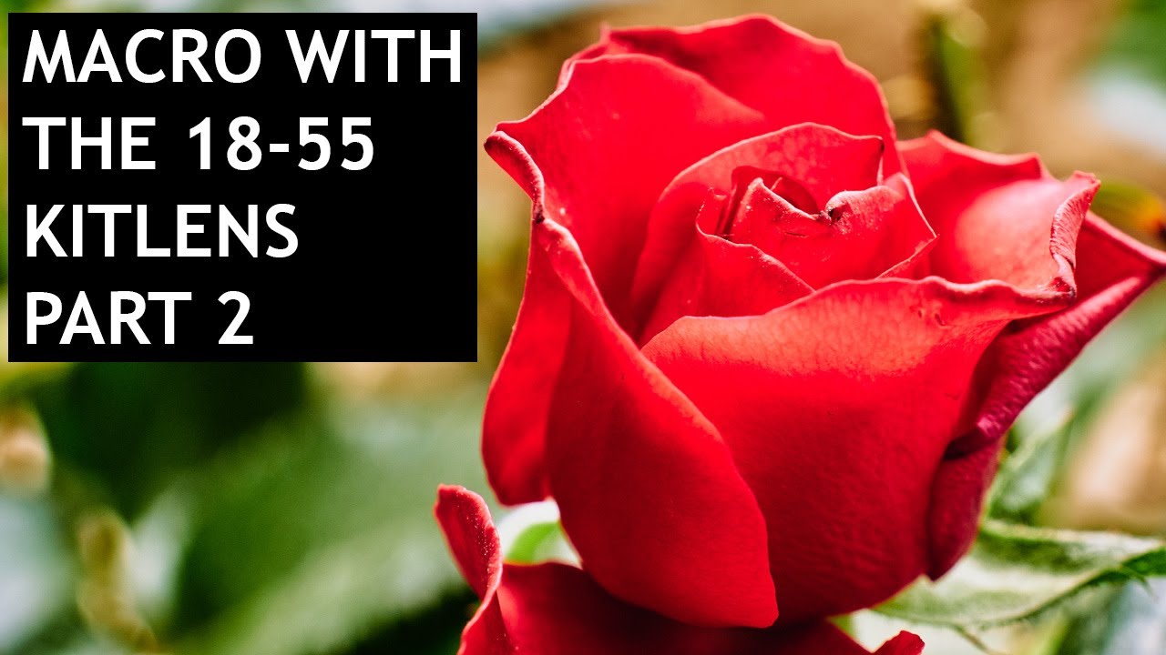 Macro with the 18-55 Kit Lens PART 2 #fujifilm #fuji