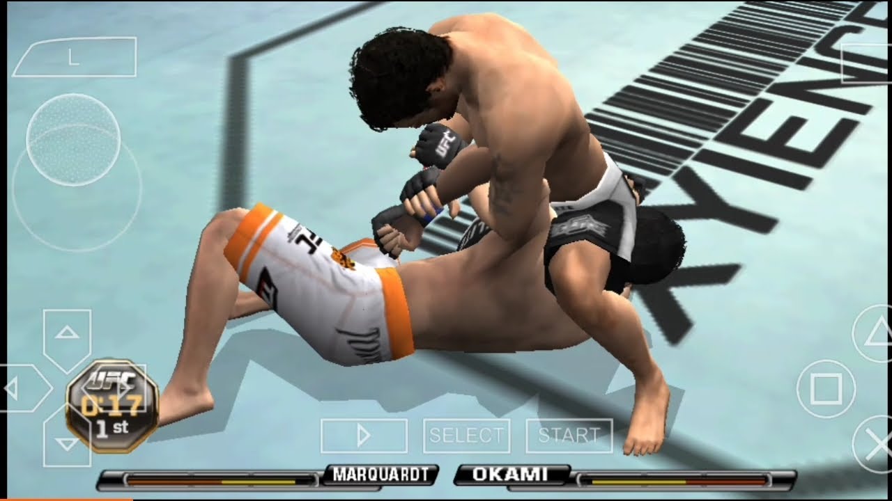 гайд по болевым в игре UFC undisputed 2010