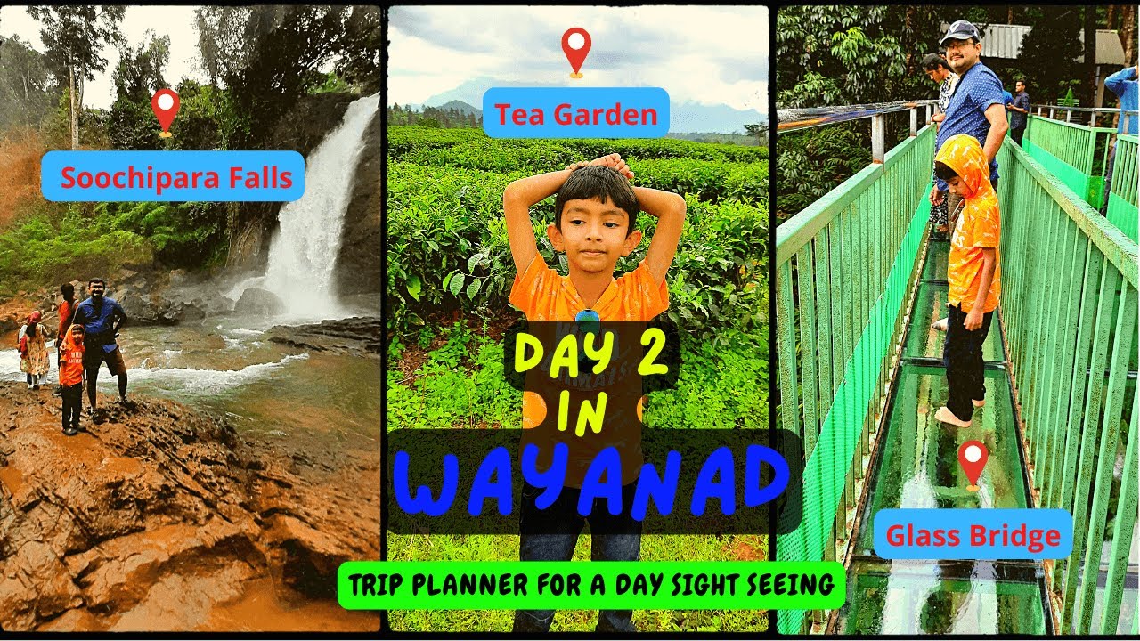 1 Day Itinerary to cover femous spots in Wayanad | Lakkadi View | Glass Bridge | Soochipara |Pookode