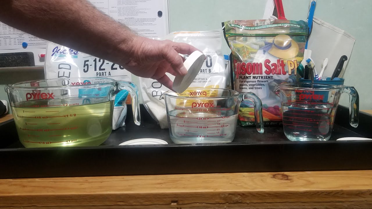 Back to Jacks 3-2-1 with Mars Hydro TS 3000 - Mixing Jacks