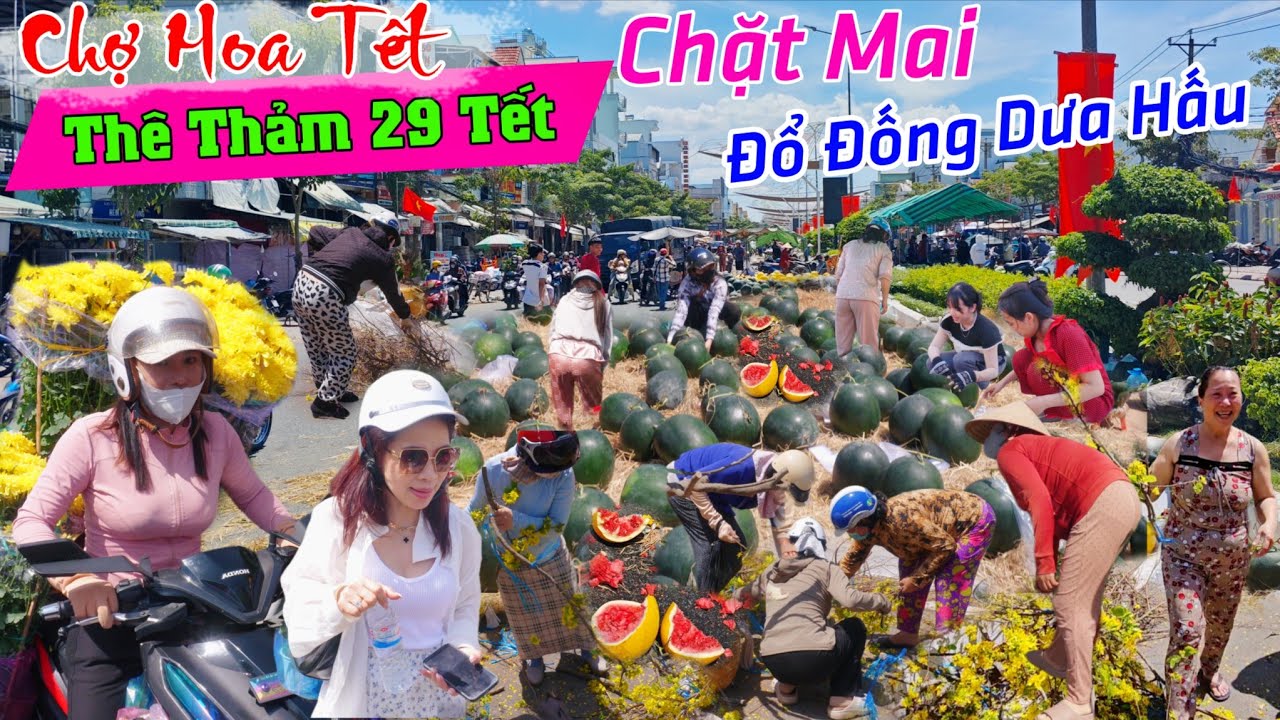 Quá thê thảm 29 tết chặt mai, dưa hấu đổ đống không ai mua chợ hoa tết cần thơ