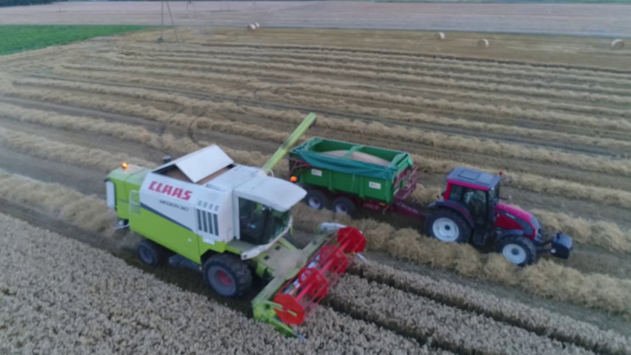 Żniwa 2017-Mega Pszenica o zachodzie słońca! [Medion 310/ Valtra N101+ Metaltech TS12]