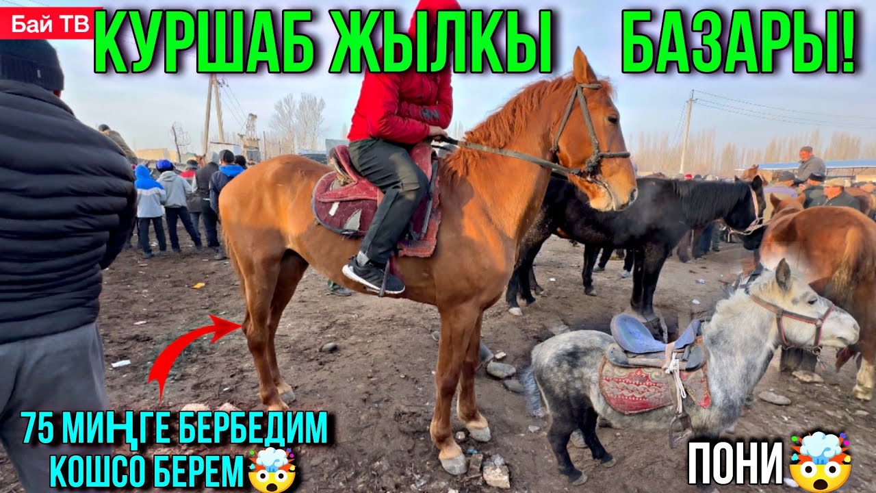 ПОНИ ТҮШҮП БАЗАР КЫЗЫП 🤯🤯 #байтв