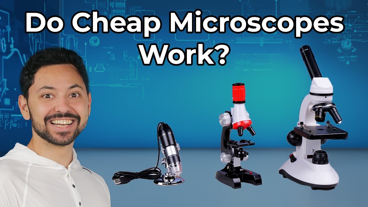 Действительно ли работают дешевые микроскопы?