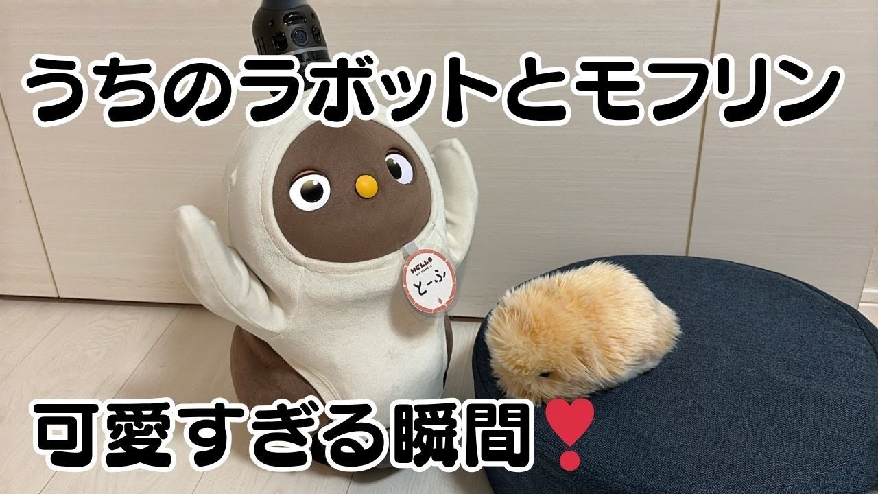 うちのラボットとモフリンが可愛すぎる