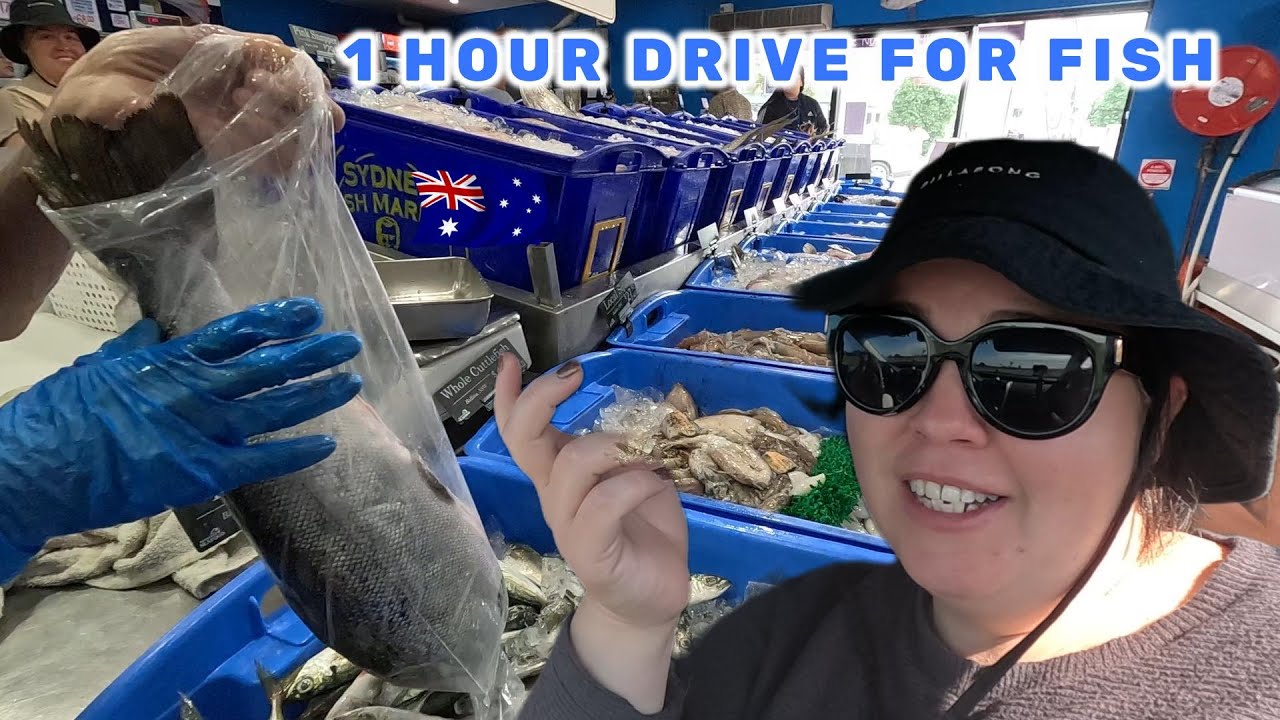 DROVE 1 Hour Just For FISH! Living In Australia As A Family
