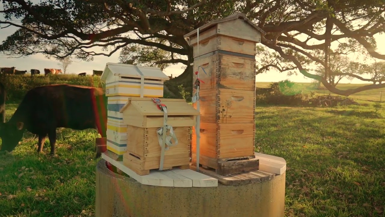 164 Princes Highway, Kiama Heights