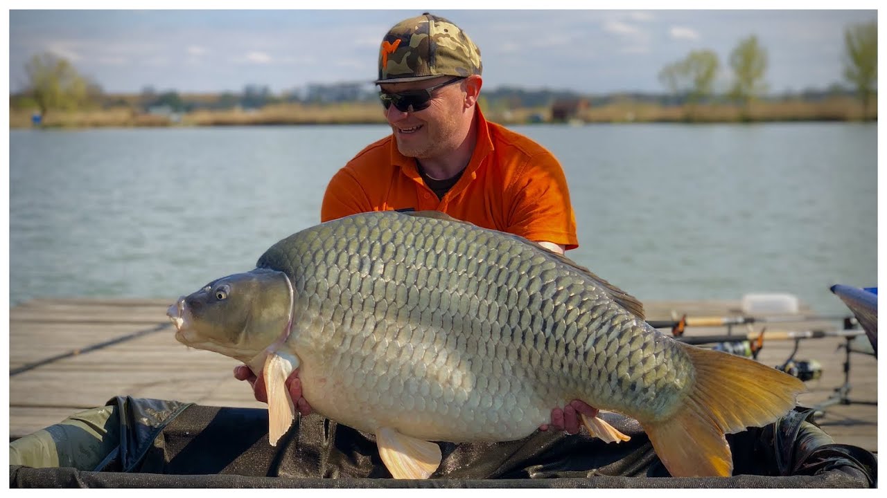 23 kg felett feederbottal! | Faházas-tó Tokaj