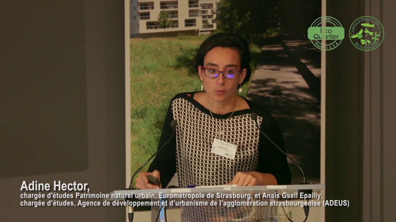 Orientation d'aménagement et de programmation TVB dans le PLUi de l'Eurométropole de Strasbourg [67]