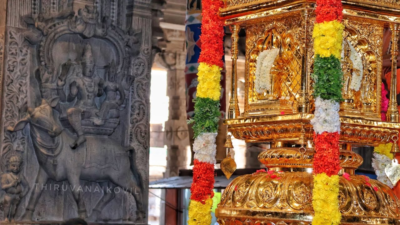 பிரதோஷ வழிபாடு திருவானைக்காவல் 