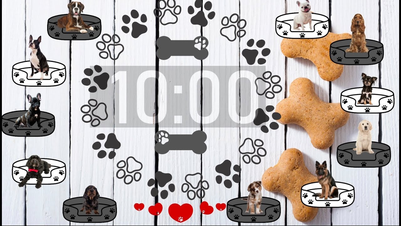 10 Minute Timer - Dog Themed