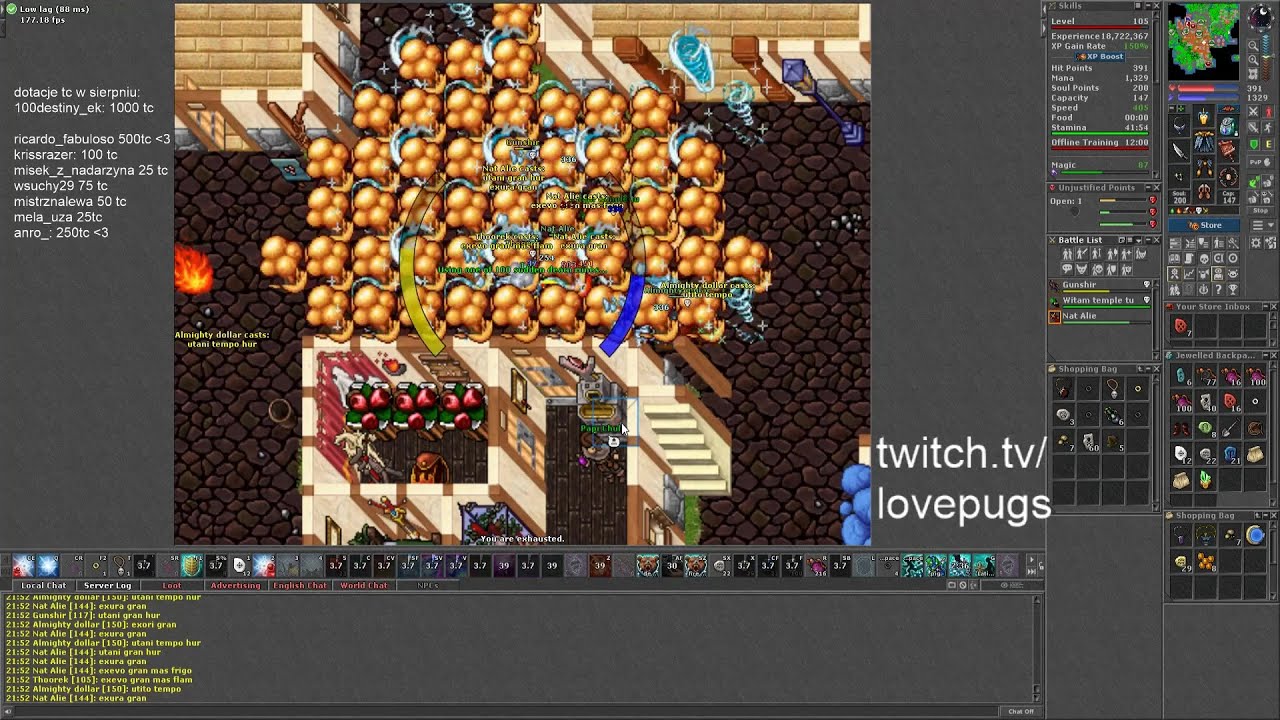 TIBIA PK peloria, antica, lovepugs, #16