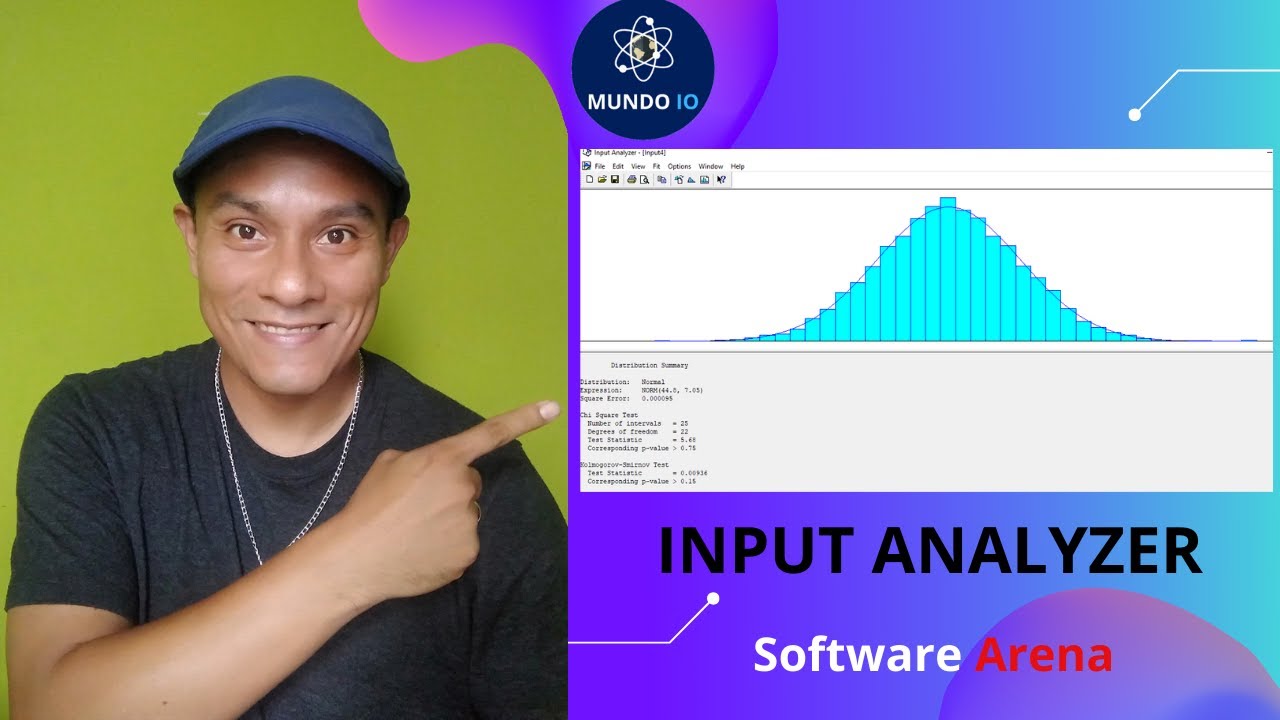 Input Analyzer - Software Arena