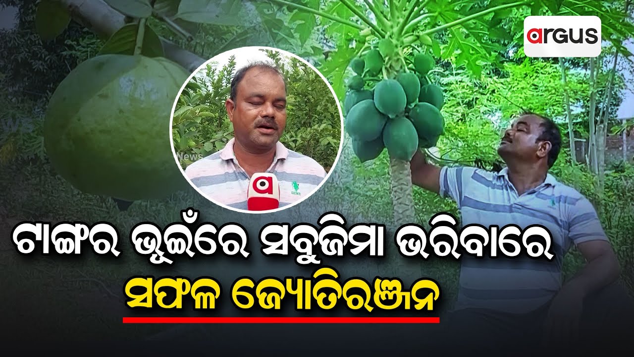 Youth Leaves Foreign Job To Become Successful Farmer In Cuttack