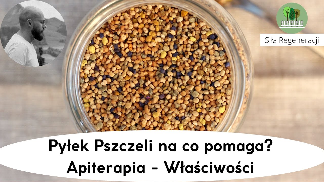 Pyłek pszczeli na co pomaga? - właściwości - Apiterapia