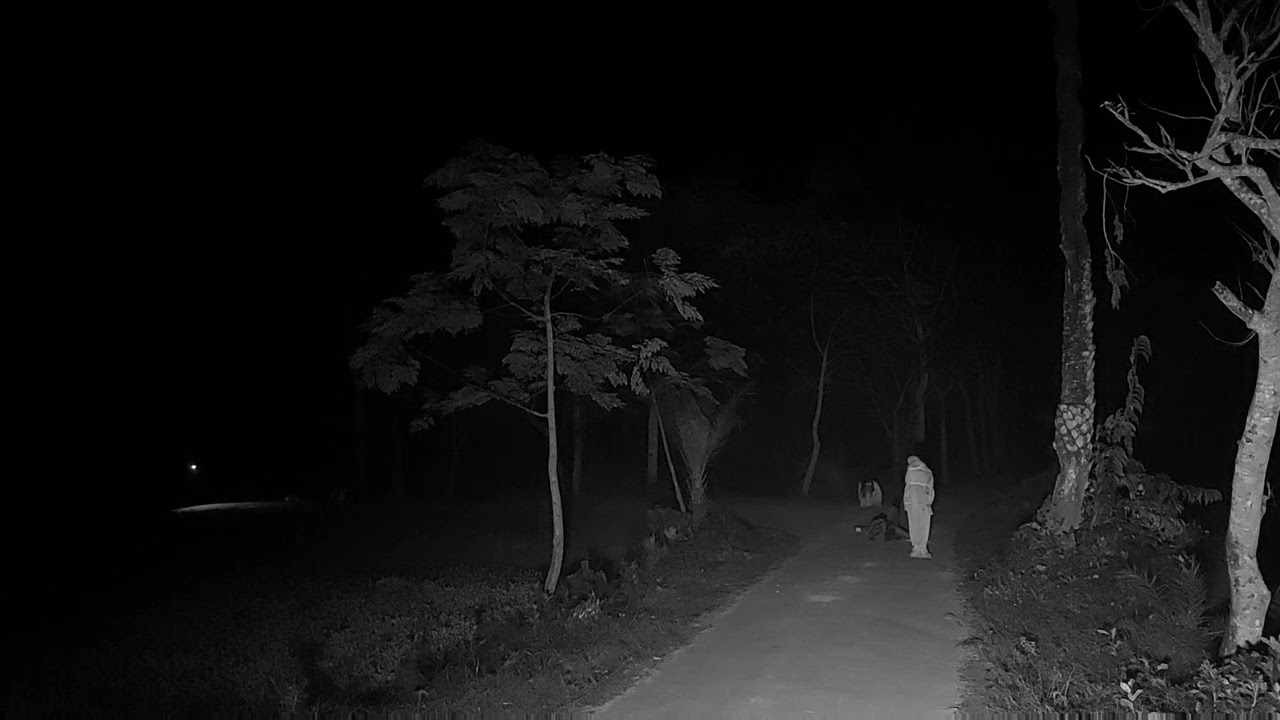 🔴Real Ghost activists in village Road