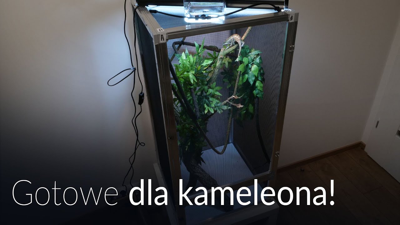 GOTOWE TERRARIUM DLA KAMELEONA