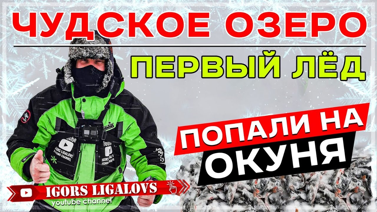 Первый лёд попали на окуня Чудское озеро зимняя рыбалка