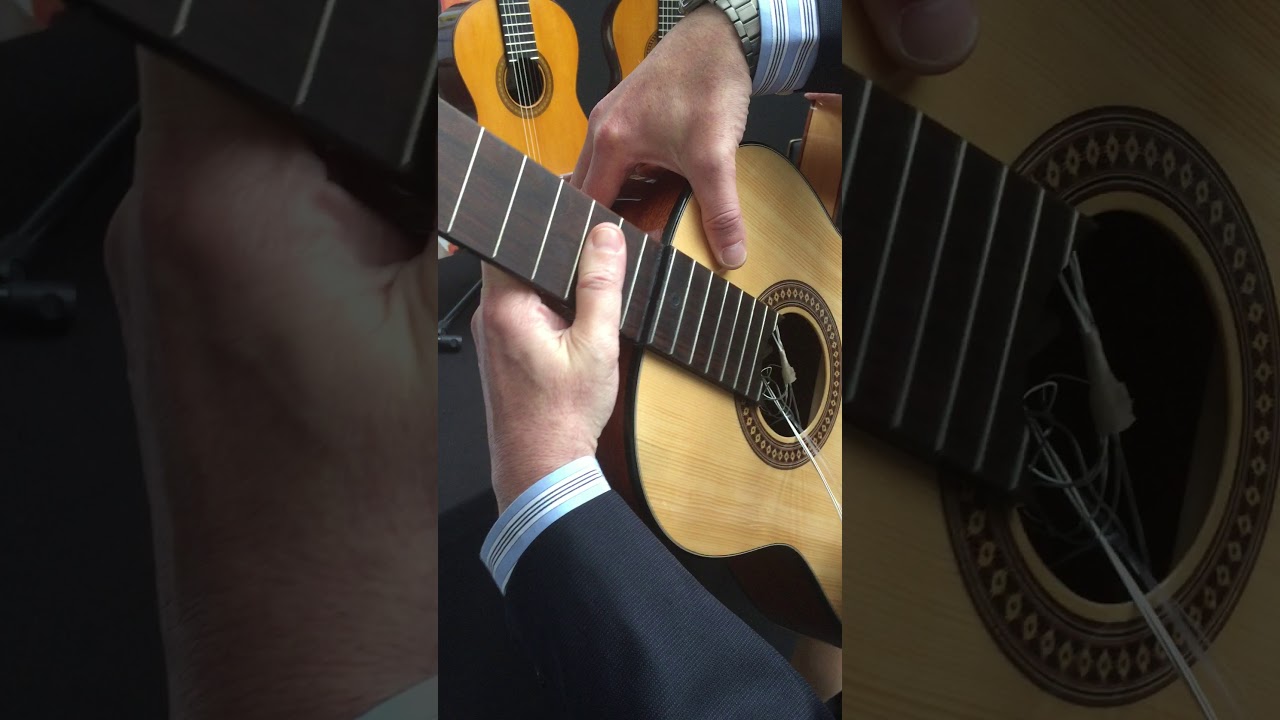 Reisegitarre