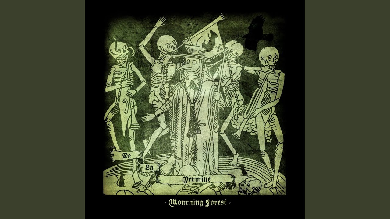 A travers les yeux du vide