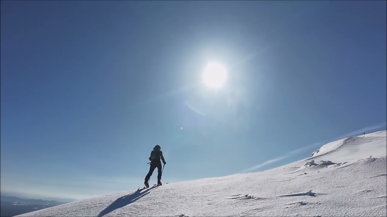 Bieszczady Wysokie skitura niedżwiedzim tropem