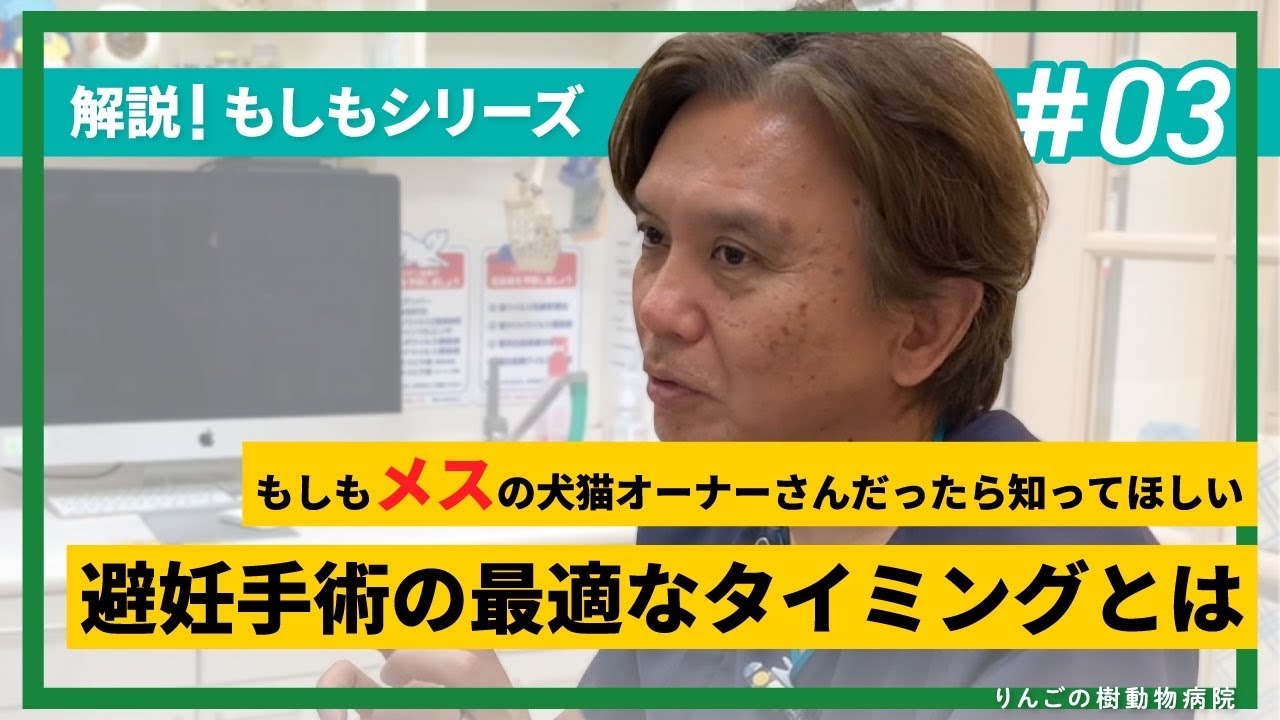 解説‼️もしもシリーズ　避妊手術の最適なタイミングとは