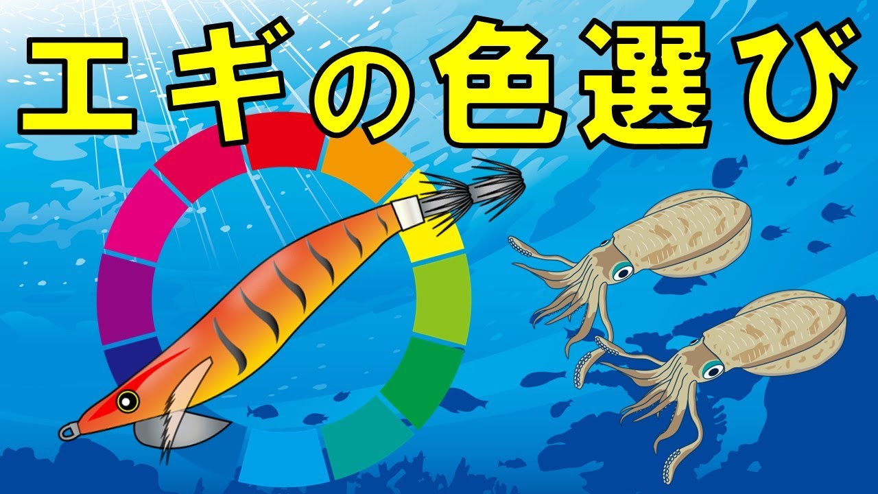 【エギの色の選び方】おすすめ6選！もう迷わない初めてのエギ選び