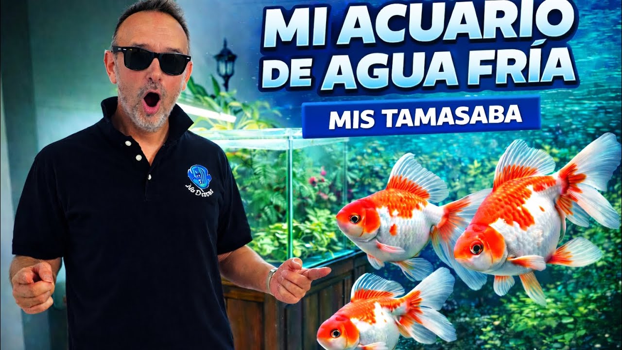 ACUARIO DE PECES GOLDFISH TAMASABA