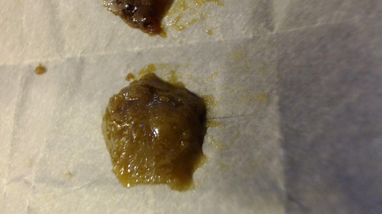 STRAIN REVIEW! SUPER SOUR HEADBAND WAX! #BringBernieBack!