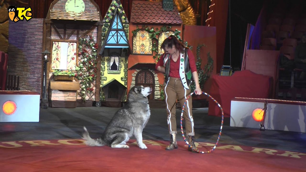 Kri Kra KRAEX - Weihnachten im Europapark  (Teil1)