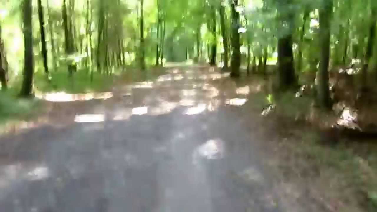 Tretroller Tour ohne Hund 14,5 km am 25 08 15