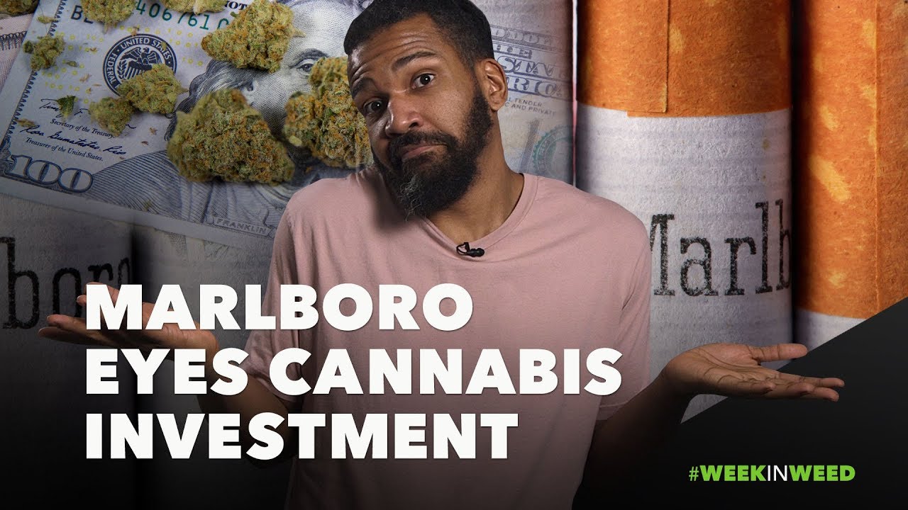 This Week in Weed: Marlboro Ready to Buy Marijuana?!